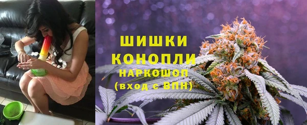 хмурый Нея