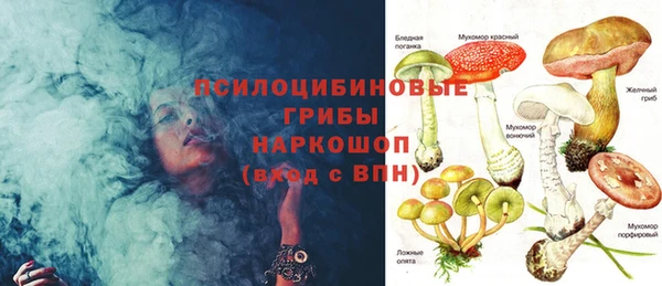 PSILOCYBIN Алексин